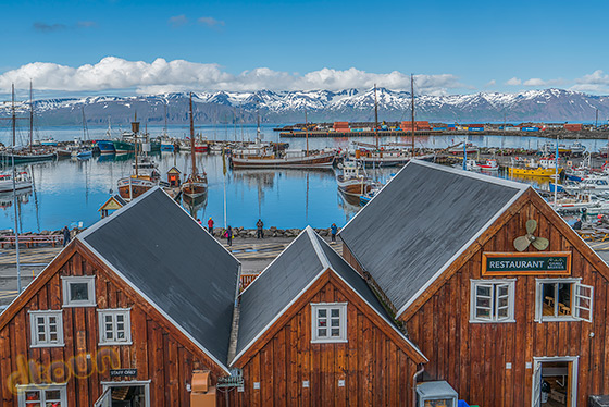 סוני A7R II ביקורת מצלמה איסלנד
