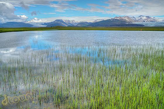 סוני A7R II ביקורת מצלמה איסלנד