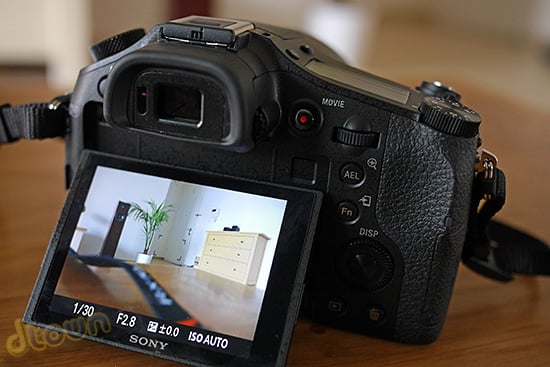 סוני DSC RX10