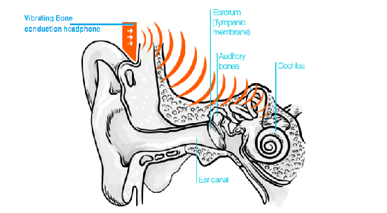 Bone Conduction Bone Conduction