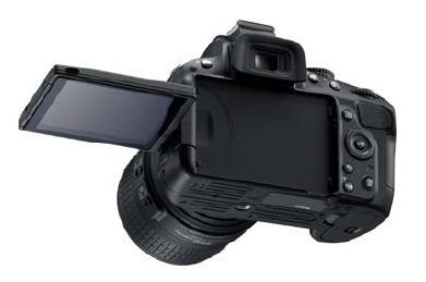 Nikon D5100 - ניקון Nikon D5100 - ניקון