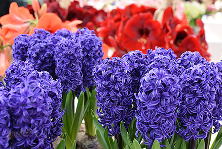Nikon D5200 Review sample image Nikon D5200 Review sample image