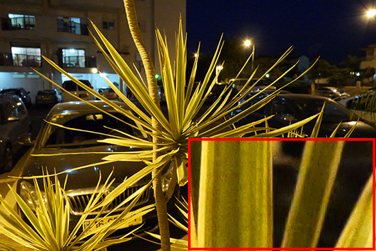 Panasonic GH3 ISO 6400 Sample