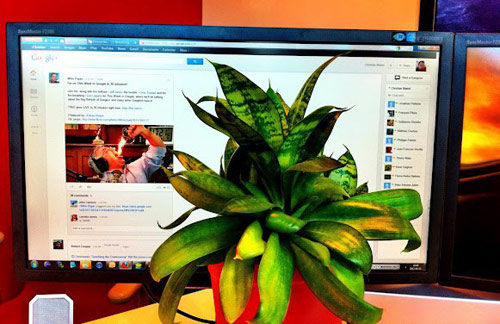 גוגל+ Google Plus גוגל+ Google Plus