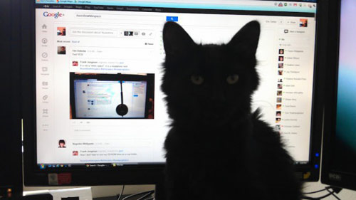 גוגל+ Google Plus גוגל+ Google Plus
