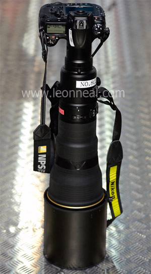 leonneal.com leonneal.com