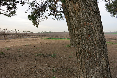 Canon S110 Sample images