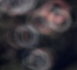 Samyang 500mm f/8 MC IF Mirror image sample BOKEH