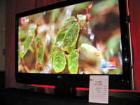 LG