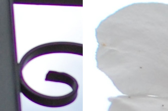 CA