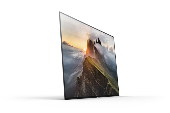 sony oled 65 sony oled 65