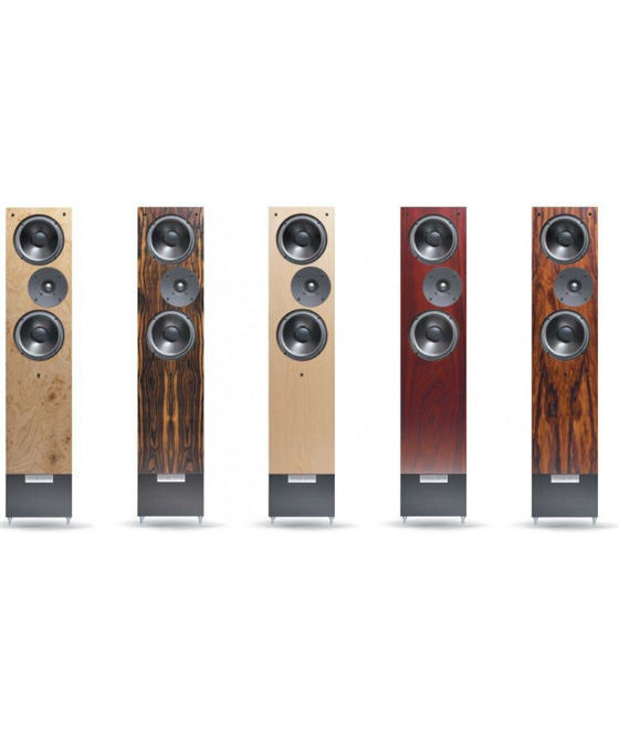 Living Voice IBX-R3 Living Voice IBX-R3
