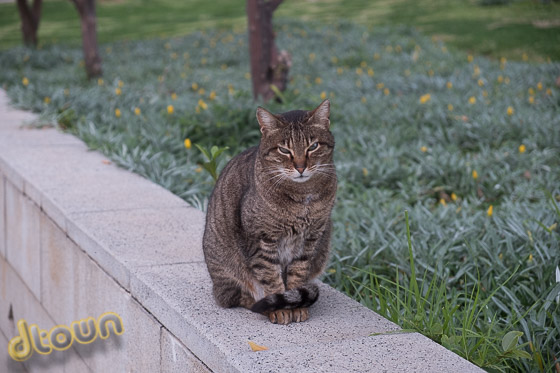 FUJIFILM X-H1 FUJIFILM X-H1