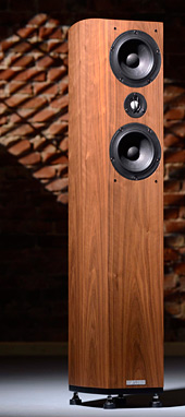 רמקולים ASW Genius 310, ביקורת