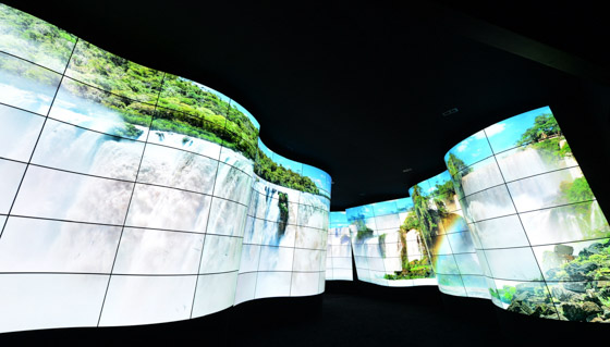 LG OLED LG OLED
