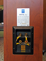 Triangle Antal