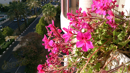 Sony Xperia Z - Sample image Sony Xperia Z - Sample image