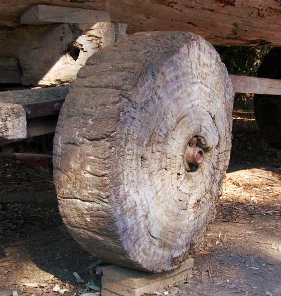 גלגל עץ
